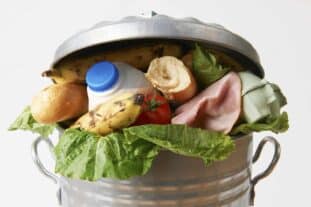 300 Kilo Food Waste pro Kopf pro Jahr